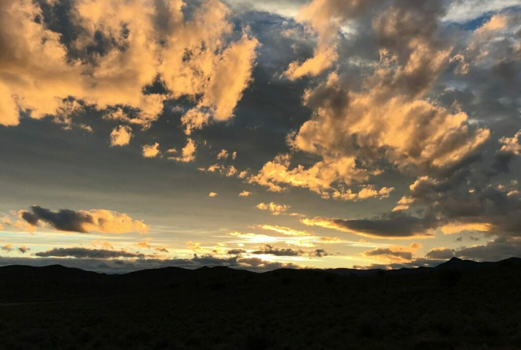 Romantische safari in de Klein Karoo