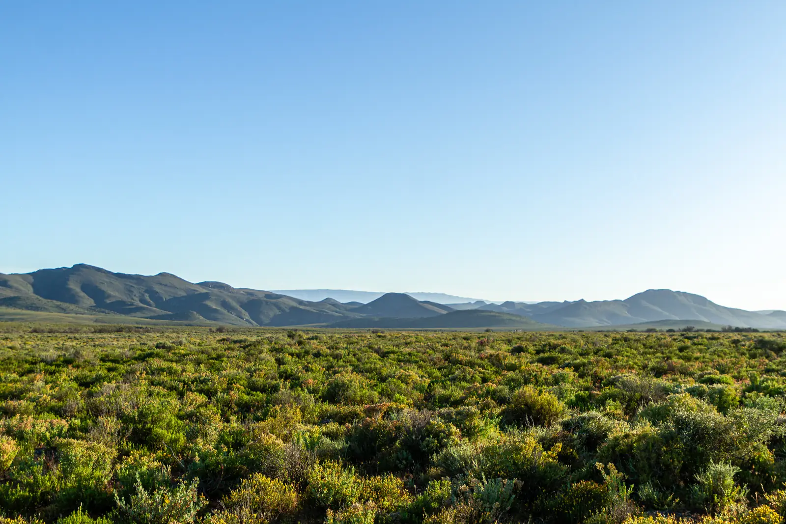 10 Things That Make Mont Eco Game Reserve Unique