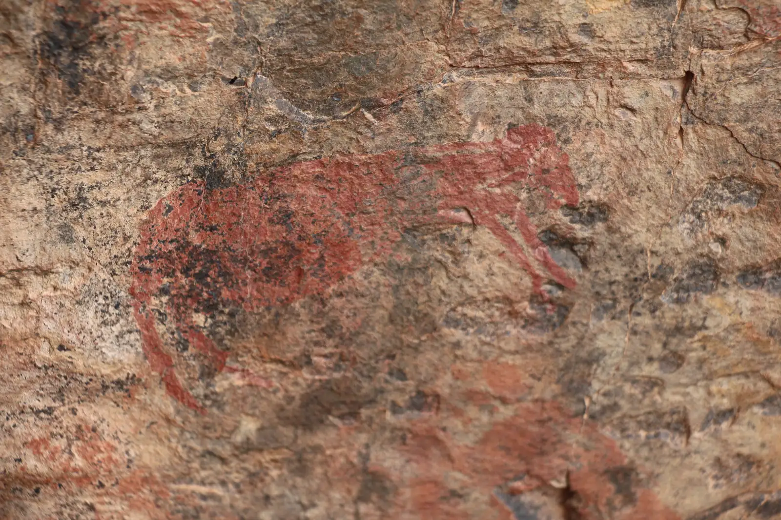 10 Things That Make Mont Eco Game Reserve Unique 3 Ancient San rock art depicting wildlife at Mont Eco Game Reserve